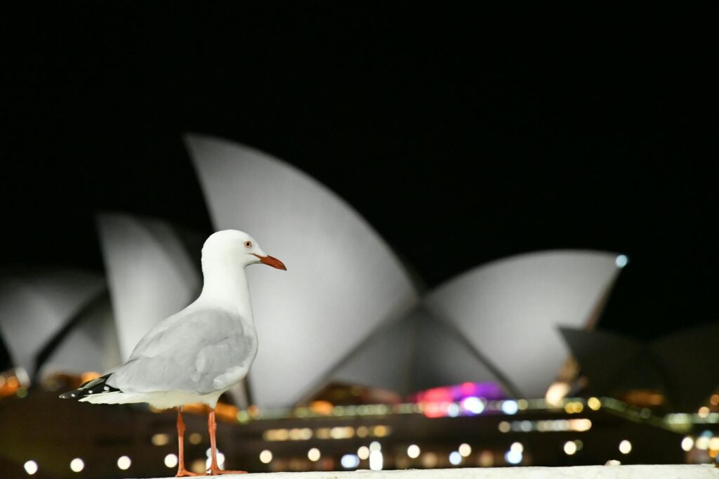 Sydney Opera House