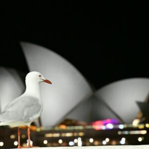 Sydney Opera House