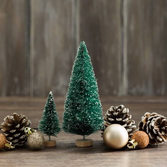 Miniature Christmas trees